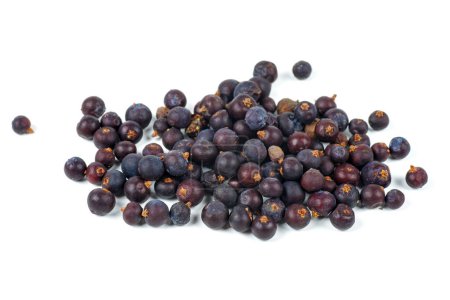 Photo for Dried Juniper Berries isolated on white background - Royalty Free Image