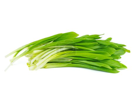 Photo for Pile of fresh green ramson isolated on white background - Royalty Free Image