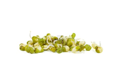 Photo for Germinated seeds of mung bean isolated on a white background - Royalty Free Image