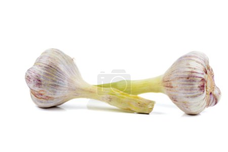 Photo for Two young garlic heads isolated on white background - Royalty Free Image
