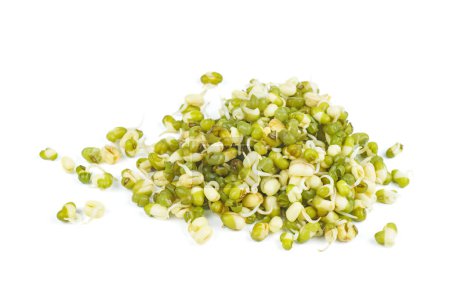 Germinated seeds of mung bean isolated on a white background