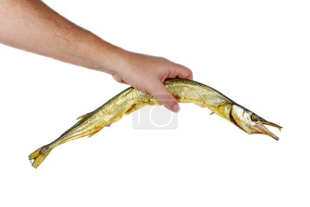 Photo for Hand hold smoked garfish isolated on a white background - Royalty Free Image