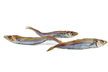 Téléchargez les photos : Trois poissons salés (micromesistius) isolés sur fond blanc. - en image libre de droit