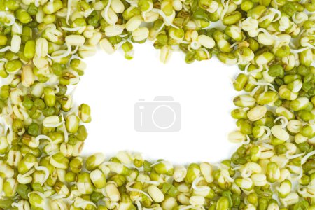 Germinated seeds of mung bean isolated on a white background.Frame.