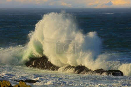 Téléchargez les photos : Paysage marin avec grande vague de débâcle sur les rochers côtiers, Afrique du Sud - en image libre de droit