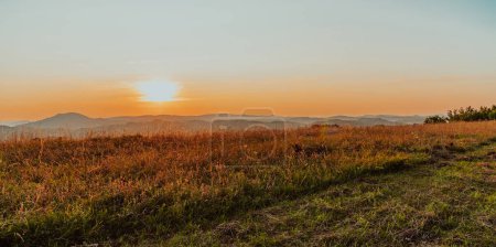 Foto de Idyllic sunset on a meadow with too late long green grass. High quality photo - Imagen libre de derechos