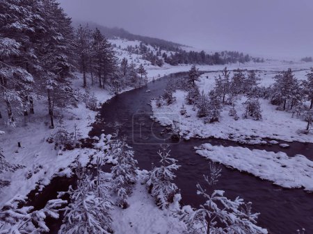 Photo for An aerial view of a frozen river flowing through snow-covered forests on a cloudy sunset sky background. Hi quality 4K footage. - Royalty Free Image