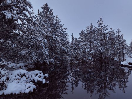 Foto de An aerial view of a frozen river flowing through snow-covered forests on a cloudy sunset sky background. Hi quality 4K footage. - Imagen libre de derechos