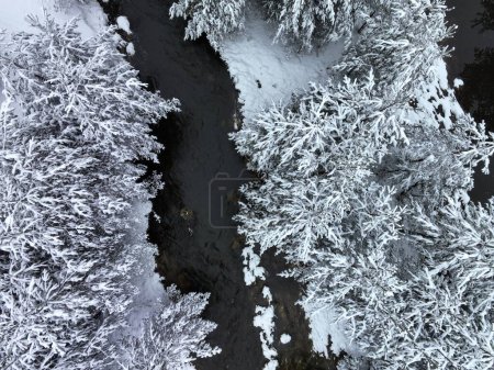 Photo for An aerial view of a frozen river flowing through snow-covered forests on a cloudy sunset sky background. Hi quality 4K footage. - Royalty Free Image