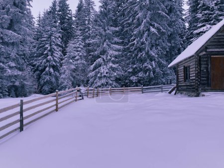 Photo for Splendid mountain winter landscape with secluded small wooden alpine cottage among the fir trees fully covered by snow during snow fall. Hi quality 4K slow motion footage. - Royalty Free Image