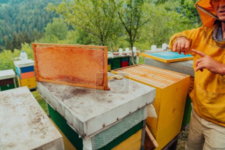 Foto de Senior beekeeper checking how the honey production is progressing. Photo of a beekeeper with a comb of honey. - Imagen libre de derechos