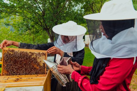 Téléchargez les photos : Les investisseurs arabes vérifient la qualité du miel dans la ferme dans laquelle ils ont investi l'argent. Investir dans les petites entreprises - en image libre de droit