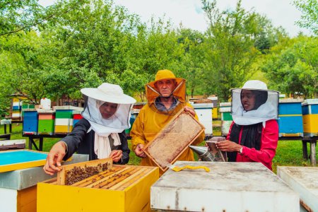 Foto de Business partners with an experienced senior beekeeper checking the quality and production of honey at a large bee farm. - Imagen libre de derechos