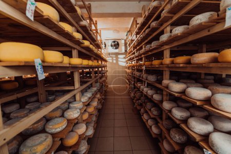 Foto de A large storehouse of manufactured cheese standing on the shelves ready to be transported to markets. - Imagen libre de derechos