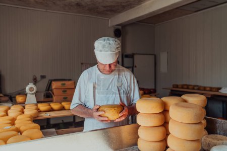 Photo for The cheese maker sorting freshly processed pieces of cheese and preparing them for the further processing process. - Royalty Free Image