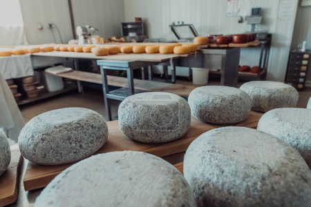 Téléchargez les photos : Un grand entrepôt de fromage fabriqué debout sur les étagères prêtes à être transportées vers les marchés. - en image libre de droit
