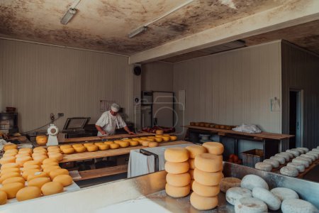 Téléchargez les photos : The cheese maker sorting freshly processed pieces of cheese and preparing them for the further processing process. - en image libre de droit