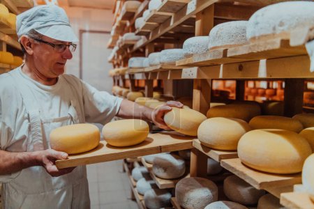 Foto de Un trabajador de una fábrica de quesos clasificando queso recién procesado en estantes de secado. - Imagen libre de derechos