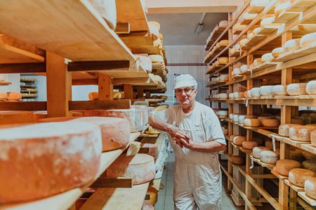 Téléchargez les photos : A worker at a cheese factory sorting freshly processed cheese on drying shelves. - en image libre de droit