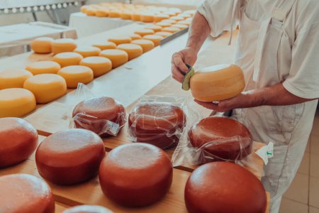 Téléchargez les photos : Fromagerie travaillant dans l'industrie pour la production manuelle de fromage fait maison. - en image libre de droit