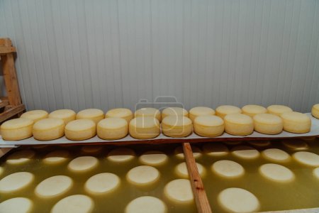 Foto de Un gran almacén de queso manufacturado de pie en las estanterías listo para ser transportado a los mercados. - Imagen libre de derechos