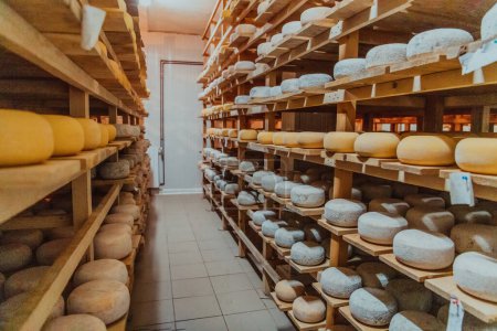 Foto de Un gran almacén de queso manufacturado de pie en las estanterías listo para ser transportado a los mercados. - Imagen libre de derechos