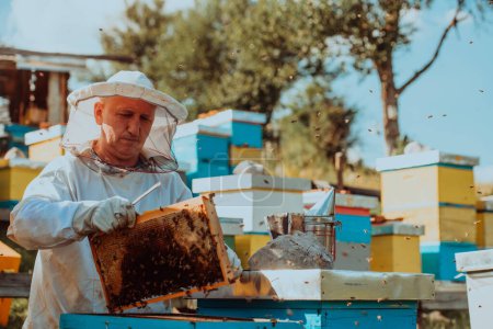 Foto de Apicultor comprobando la miel en el marco de la colmena en el campo. Dueño de una pequeña empresa en apiary. Productor natural de alimentos saludablesestá trabajando con abejas y colmenas en el colmenar - Imagen libre de derechos