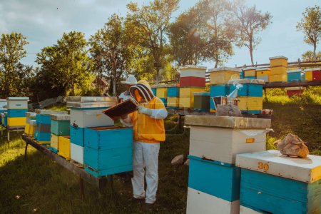 Foto de Los apicultores revisan la miel en el marco de la colmena en el campo. Los apicultores comprueban la calidad de la miel y los parásitos de la miel. Un apicultor trabaja con abejas y colmenas en un colmenar. Concepto de pequeña empresa - Imagen libre de derechos