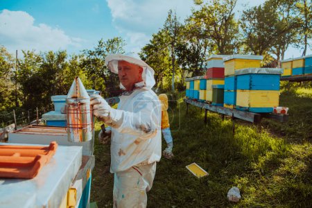 Téléchargez les photos : Les apiculteurs vérifient le miel sur le cadre de la ruche dans le champ. Les apiculteurs vérifient la qualité du miel et les parasites du miel. Un apiculteur travaille avec les abeilles et les ruches dans un rucher. Concept de petite entreprise - en image libre de droit