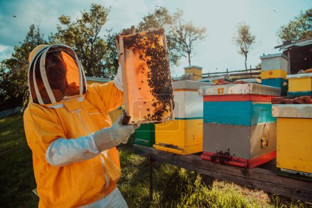 Foto de Amplio tiro de un apicultor sosteniendo el marco de la colmena lleno de miel contra la luz del sol en el campo lleno de flores. - Imagen libre de derechos