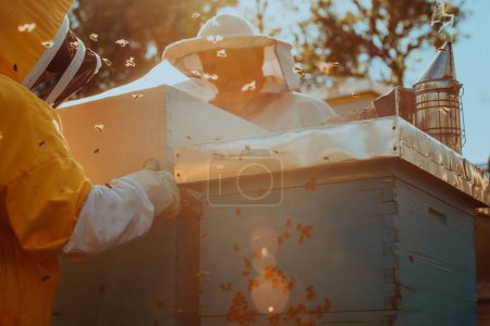 Téléchargez les photos : Les apiculteurs vérifient le miel sur le cadre de la ruche dans le champ. Propriétaires de petites entreprises sur rucher. Producteur d'aliments naturels sains travaille avec les abeilles et les ruches sur le rucher - en image libre de droit