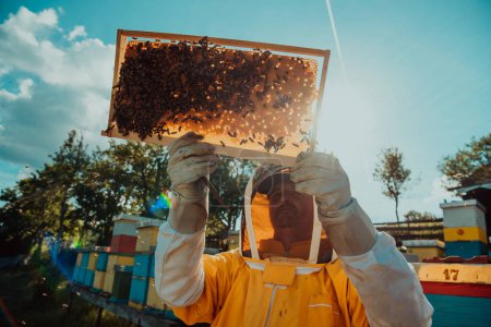 Téléchargez les photos : Plan large d'un apiculteur tenant le cadre de la ruche rempli de miel contre la lumière du soleil dans le champ plein de fleurs. - en image libre de droit