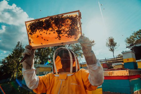 Foto de Amplio tiro de un apicultor sosteniendo el marco de la colmena lleno de miel contra la luz del sol en el campo lleno de flores. - Imagen libre de derechos