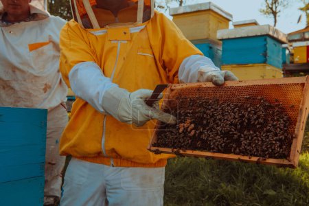Foto de Apicultores revisando la miel en el marco de la colmena en el campo. Propietarios de pequeñas empresas en apiary. Productor natural de alimentos saludablesestá trabajando con abejas y colmenas en el colmenar - Imagen libre de derechos