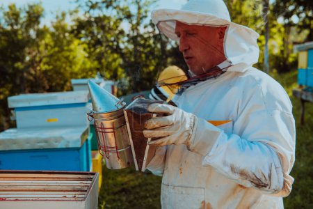 Foto de El apicultor que usa el humo para calmar a las abejas y comienza a inspeccionar la miel. - Imagen libre de derechos