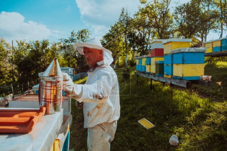 Foto de El apicultor que usa el humo para calmar a las abejas y comienza a inspeccionar la miel. - Imagen libre de derechos