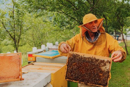 Foto de Senior beekeeper checking how the honey production is progressing. Photo of a beekeeper with a comb of honey. - Imagen libre de derechos