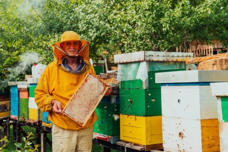 Foto de El apicultor principal comprueba cómo avanza la producción de miel. Foto de un apicultor con un panal de miel. - Imagen libre de derechos