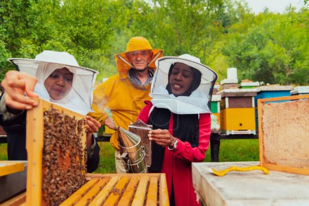 Foto de Socios comerciales con un apicultor experimentado que comprueba la calidad y la producción de miel en una gran granja de abejas. - Imagen libre de derechos