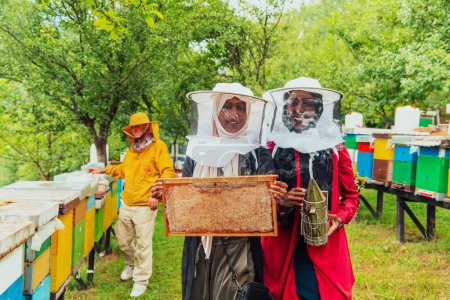 Foto de Arab investors checking the quality and production of honey on a large honey farm - Imagen libre de derechos
