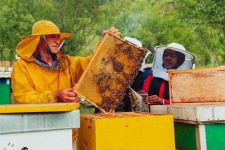 Foto de Socios comerciales con un apicultor experimentado que comprueba la calidad y la producción de miel en una gran granja de abejas. - Imagen libre de derechos