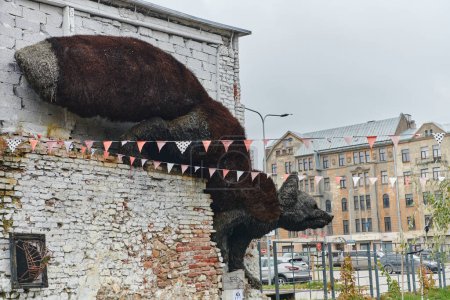 Téléchargez les photos : Dans une maison lituanienne traditionnelle dans la ville de Riga, la tête montée d'un ours préservé sert de décor rustique et symbolique, reflétant le lien culturel avec les traditions de chasse et - en image libre de droit