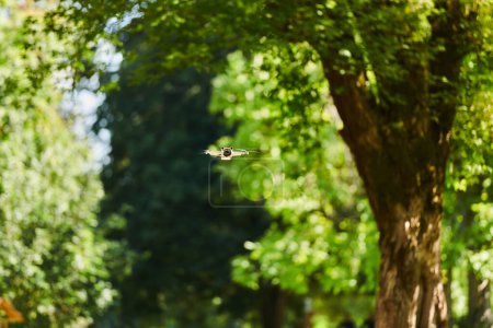 Téléchargez les photos : Drone professionnel filmant le parc par une journée ensoleillée. - en image libre de droit