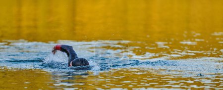 Photo for Triathlon athlete swimming on lake in sunrise wearing wetsuit. High quality photo - Royalty Free Image