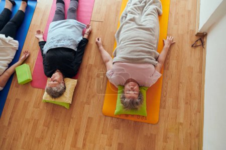 Téléchargez les photos : Vue de dessus du groupe de femmes âgées se livrent à divers exercices de yoga, y compris le cou, le dos et les jambes, sous la direction d'un entraîneur dans un espace ensoleillé, favorisant le bien-être et l'harmonie. - en image libre de droit