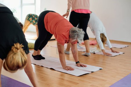 Foto de Un grupo de mujeres mayores realizan diversos ejercicios de yoga, incluyendo estiramientos de cuello, espalda y pierna, bajo la guía de un entrenador en un espacio iluminado por el sol, promoviendo el bienestar y la armonía.. - Imagen libre de derechos