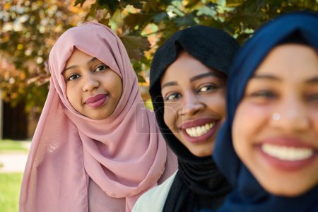 Téléchargez les photos : Une représentation symbolique de l'unité et de la fraternité en tant que groupe de femmes musulmanes du Moyen-Orient, portant des hijabs, se réunissent pour une photographie collective - en image libre de droit