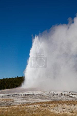 Foto de Vieja erupción de géiser fiel en el parque nacional de Yellowstone, EE.UU. - Imagen libre de derechos