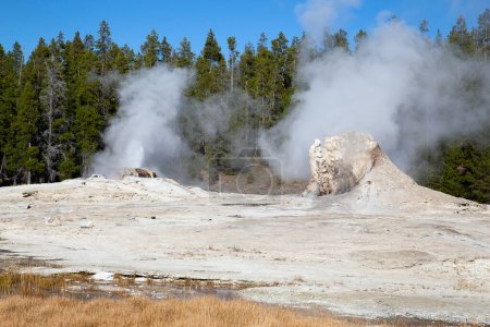 Foto de Erupción de géiser Sawmil en el parque nacional de Yellowstone, EE.UU. - Imagen libre de derechos