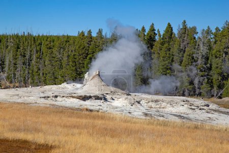 Foto de Erupción del géiser del castillo en el parque nacional de Yellowstone, Estados Unidos - Imagen libre de derechos